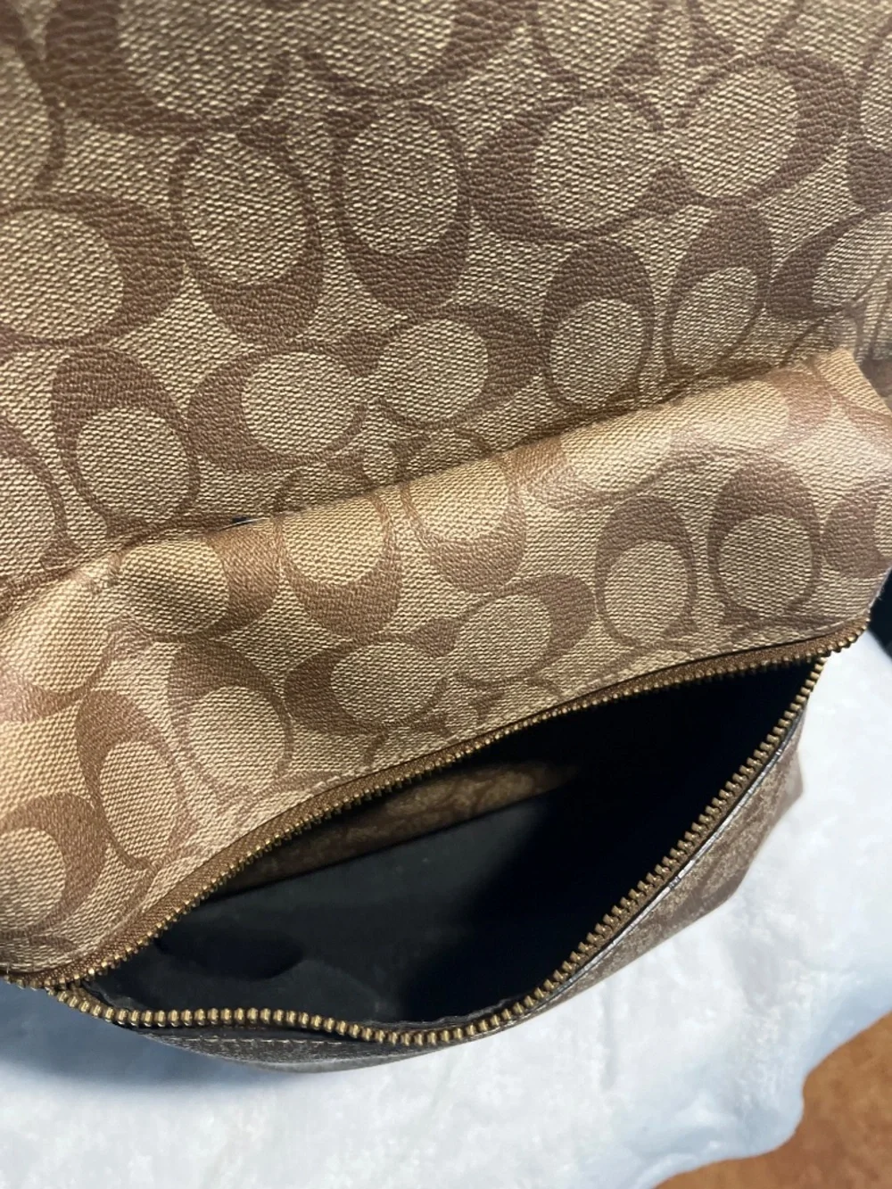 Coach Signature Canvas Backpack